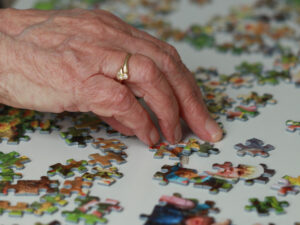 jigsaw puzzles future